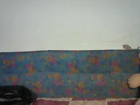 Snapshot of Baby_doll9090 chatting on 01-14-26, 05:07 Baby doll9090 online show from 01-14-26, 05:07