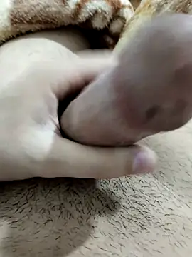 Snapshot of Zepe_12 chatting on 02-13-26, 11:34 Zepe 12 online show from 02-13-26, 11:34