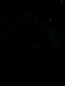 UntidyGuar online show from 11-04-25, 03:16