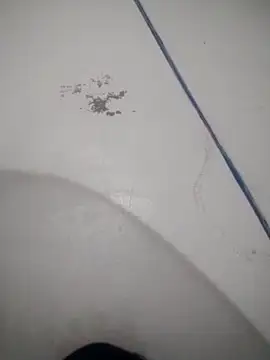 Celestial Field online show from 04-09-26, 04:45