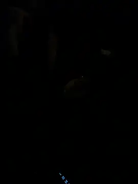 Snapshot of HorneyCowboy154 chatting on 02-25-26, 04:11 HorneyCowboy154 online show from 02-25-26, 04:11