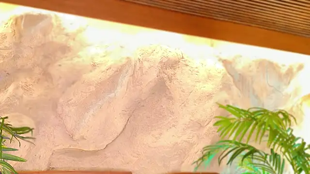 alisonn moon online show from 04-25-26, 09:56