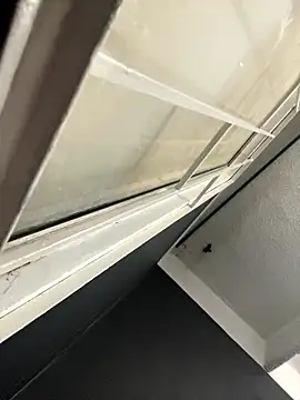 Snapshot of Emily_Rivers_ chatting on 01-14-26, 01:17 Emily Rivers online show from 01-14-26, 01:17