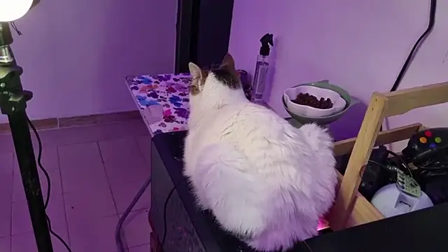 Snapshot of Lovers_cave chatting on 12-19-25, 02:07 Lovers cave online show from 12-19-25, 02:07