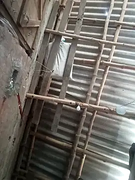 riyanag2 online show from 12-16-25, 03:44