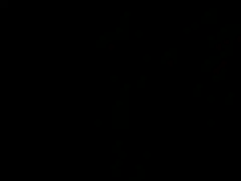 Snapshot of allybluee777 chatting on 03-07-26, 11:02 allybluee777 online show from 03-07-26, 11:02