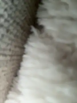 whitequeen xxx online show from 11-20-25, 11:21