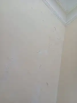 Snapshot of Sondosa3 chatting on 10-05-25, 09:02 Sondosa3 online show from 10-05-25, 09:02