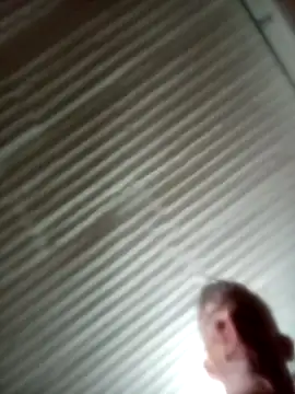 Snapshot of CPTCOCK chatting on 10-19-25, 12:00 CPTCOCK online show from 10-19-25, 12:00