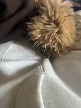 LesAmantsAE2 online show from 02-15-26, 10:14