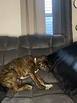 StableQuakers online show from 03-12-26, 12:22