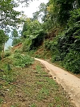 Dung-Thao19 online show from 11-24-25, 02:55