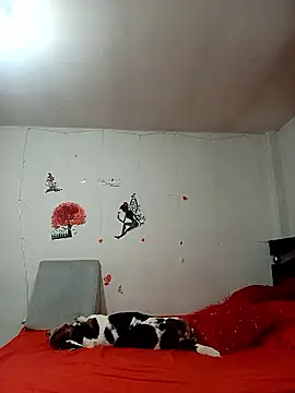 Snapshot of Lady_16 chatting on 01-06-26, 01:53 Lady 16 online show from 01-06-26, 01:53