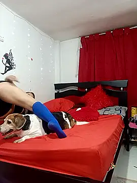 Snapshot of Lady_16 chatting on 02-13-26, 04:30 Lady 16 online show from 02-13-26, 04:30