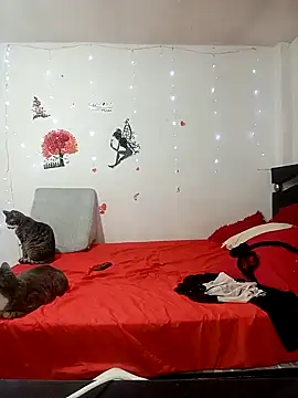 Snapshot of Lady_16 chatting on 02-17-26, 01:57 Lady 16 online show from 02-17-26, 01:57