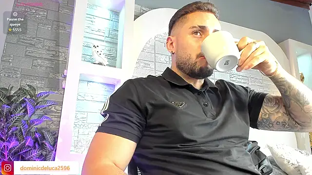 Snapshot of dominic_de_luca chatting on 12-22-25, 03:47 dominic de luca online show from 12-22-25, 03:47