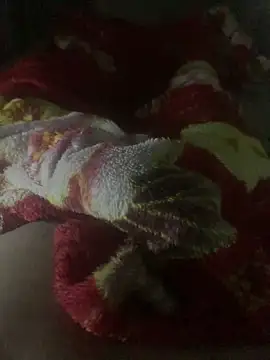 gaabpxn online show from 04-11-26, 03:44