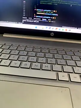 Snapshot of NoddingScorpion chatting on 11-29-25, 10:07 NoddingScorpion online show from 11-29-25, 10:07