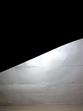 Snapshot of mileesha chatting on 01-17-26, 06:33 mileesha online show from 01-17-26, 06:33