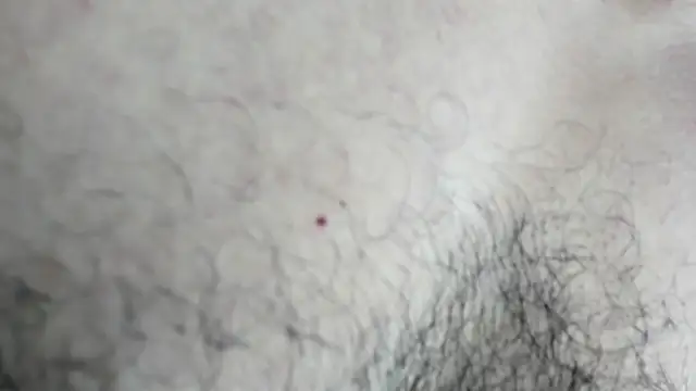 Snapshot of latinhotmuscle chatting on 10-31-25, 03:18 latinhotmuscle online show from 10-31-25, 03:18