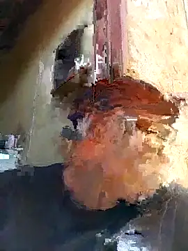 shebeshid online show from 02-06-26, 07:34