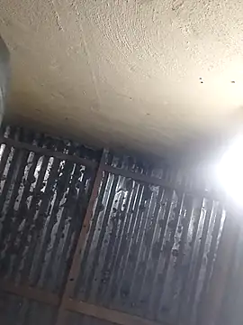 shebeshid online show from 04-13-26, 05:07