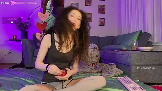 Snapshot of thewillownest_ chatting on 02-06-26, 03:04 thewillownest online show from 02-06-26, 03:04