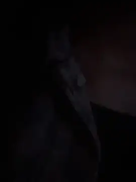 Snapshot of LilybethGray chatting on 11-19-25, 10:43 LilybethGray online show from 11-19-25, 10:43