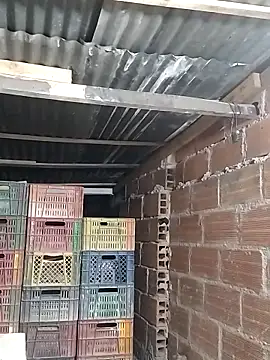 hoteder online show from 02-05-26, 10:09