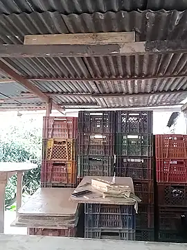 hoteder online show from 02-16-26, 12:45