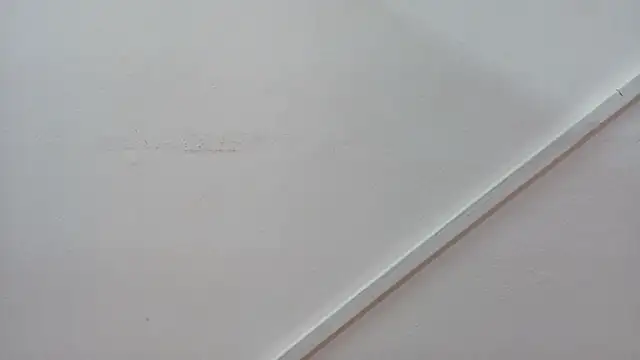 Lizbeth Rouse online show from 10-26-25, 12:55