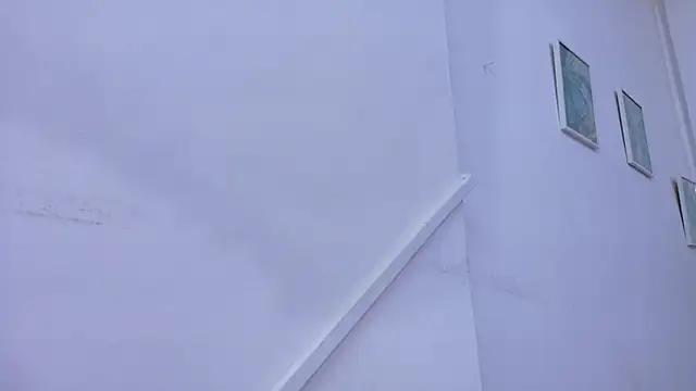 Lizbeth Rouse online show from 11-08-25, 11:10