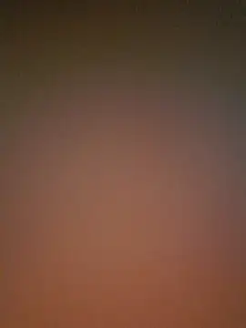 Lizbeth Rouse online show from 12-03-25, 11:41