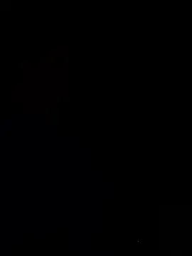 Snapshot of Azginboga2358 chatting on 10-17-25, 08:55 Azginboga2358 online show from 10-17-25, 08:55