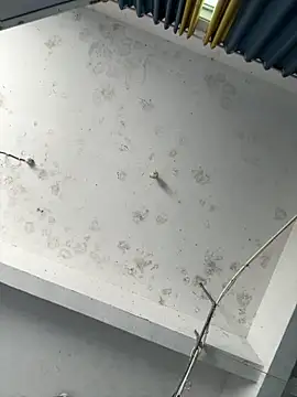 Snapshot of coco-o chatting on 09-26-25, 03:10 coco-o online show from 09-26-25, 03:10