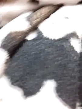 Laxmi 89 online show from 11-27-25, 03:52