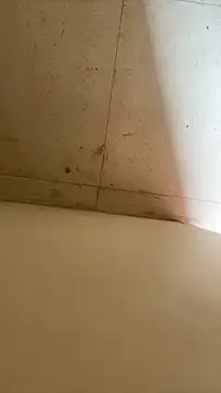 Snapshot of longfuckk chatting on 12-02-25, 05:46 longfuckk online show from 12-02-25, 05:46