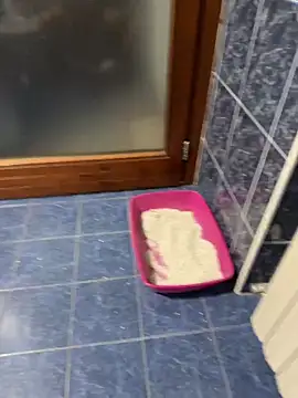 maialexte online show from 04-27-26, 03:59