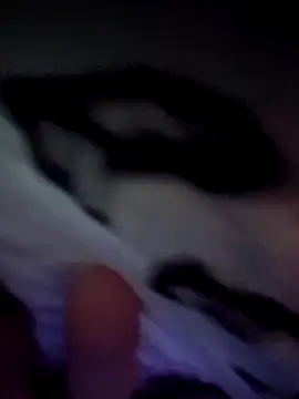 Snapshot of EsDezz88 chatting on 10-02-25, 02:40 EsDezz88 online show from 10-02-25, 02:40