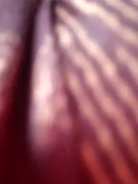 Snapshot of Tamilreethu chatting on 10-05-25, 08:45 Tamilreethu online show from 10-05-25, 08:45