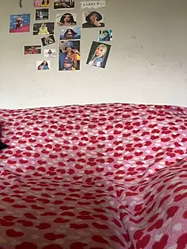 playfulcharmer online show from 11-27-25, 01:13