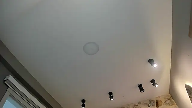 VenusBlazer online show from 02-14-26, 07:10