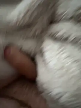 Snapshot of cumshot_foryou chatting on 03-07-26, 04:04 cumshot foryou online show from 03-07-26, 04:04