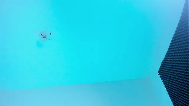 Snapshot of Ellope_ chatting on 10-22-25, 11:04 Ellope online show from 10-22-25, 11:04