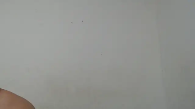 Snapshot of Ana_ThiagoxX chatting on 09-14-25, 02:54 Ana ThiagoxX online show from 09-14-25, 02:54