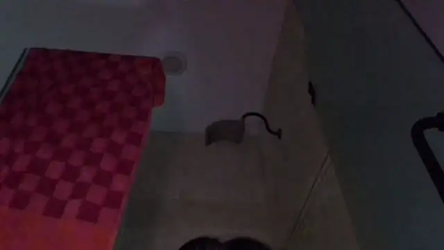 TallDrink11 online show from 09-29-25, 10:25