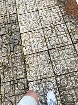 Snapshot of linh21107 chatting on 11-03-25, 12:24 linh21107 online show from 11-03-25, 12:24