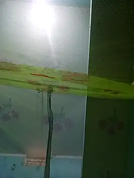 Apkisona8 online show from 11-21-25, 05:28