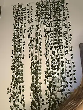 Snapshot of butterfly777_ chatting on 01-11-26, 08:41 butterfly777 online show from 01-11-26, 08:41