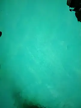 Snapshot of Arti13A chatting on 01-17-26, 03:17 Arti13A online show from 01-17-26, 03:17